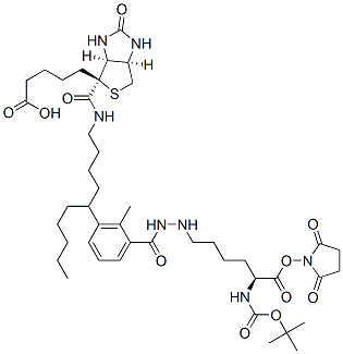 [3aS-[3aa,4(R*),6aa]]-1-[[(2,5-Dioxo-1-pyrrolidinyl)oxy]carbonyl]-5-[[6-[[5-(hexahydro-2-oxo-1H-thieno[3,4-d]imidazol-4-yl)-1-oxopentyl]amino]-1-oxohexyl]amino]pentyl]-carbamic acid 1,1-Dimethylethyl Ester