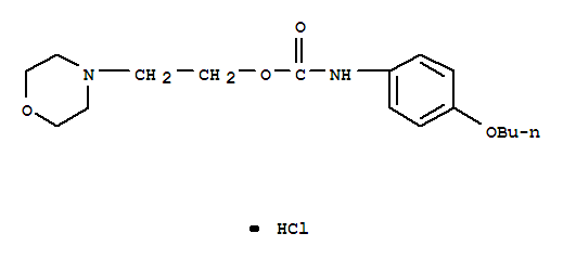 2-morpholin-4-ylethyl (4-butoxyphenyl)carbamate hydrochloride