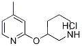 4-Methyl-2-(piperidin-3-yloxy)-pyridine hydrochloride, 98+% C11H17ClN2O, MW: 228.72