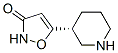 3(2H)-ISOXAZOLONE,5-(PIPERIDIN-3-YL)-,(R)-