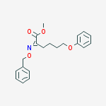 Hexanoic acid, 6-phenoxy-2-[(phenylmethoxy)imino]-, methyl ester