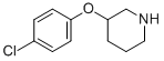 3-(4-CHLOROPHENOXY)PIPERIDINE