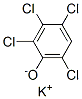 2,3,4,6-tetrachlorophenol, potassium salt