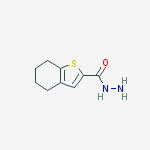 4,5,6,7-TETRAHYDRO-1-BENZOTHIOPHENE-2-CARBOHYDRAZIDE 95%