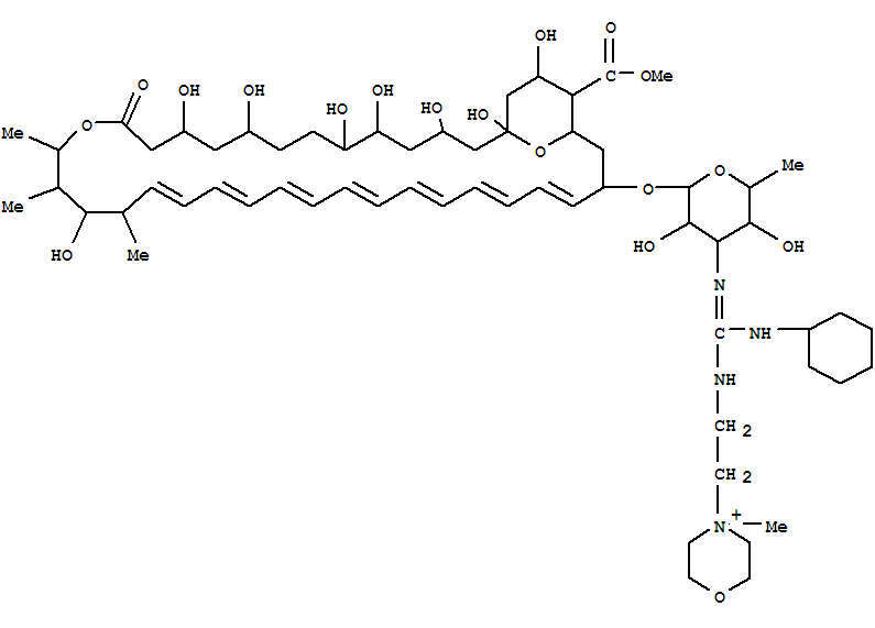 N-(N-(2-(4-methylmorpholinio)ethyl)-N-cyclohexylguanyl)amphotericin B methyl ester