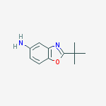 2-TERT-BUTYL-1,3-BENZOXAZOL-5-AMINE