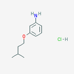 3-(3-methylbutoxy)aniline;hydrochloride molecular structure