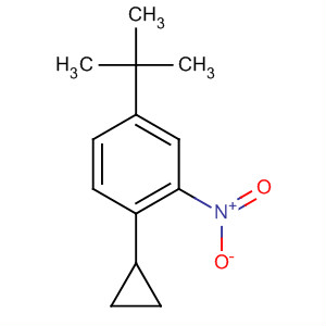 Benzene, 1-cyclopropyl-4-(1,1-dimethylethyl)-2-nitro- molecular structure