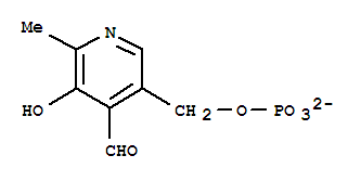 4-Pyridinecarboxaldehyde,3-hydroxy-2-methyl-5-[(phosphonooxy)methyl]-, ion(2-)