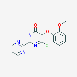 6-Chloro-5-(2-methoxyphenoxy)-2,2'-bipyrimidin-4(5H)-one molecular structure