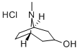 8-METHYL-8-AZABICYCLO[3.2.1]OCTAN-3-OL HYDROCHLORIDE molecular structure