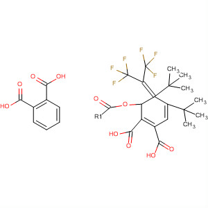1,2-Benzenedicarboxylic acid,4,4'-[2,2,2-trifluoro-1-(trifluoromethyl)ethylidene]bis-,bis(1,1-dimethylethyl) ester molecular structure