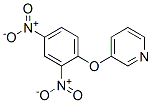 3-(2,4-DINITROPHENOXY)PYRIDINE molecular structure