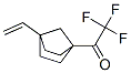 Ethanone,1-(4-ethenylbicyclo[2.2.1]hept-1-yl)-2,2,2-trifluoro- molecular structure