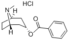 ENDO-TROPACOCAINE (8-METHYL-8-AZABICYCLO[3.2.1]OCT-3-YL) BENZOATE HCL
 molecular structure