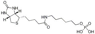 1H-Thieno[3,4-d]iMidazole-4-pentanaMide, hexahydro-2-oxo-N-[6-(phosphonooxy)hexyl]-, (3aS,4S,6aR)-