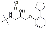 (R)-Penbutolol Hydrochloride molecular structure
