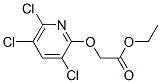 Acetic acid, (3,5,6-trichloro-2-pyridinyl)oxy-, ethyl ester