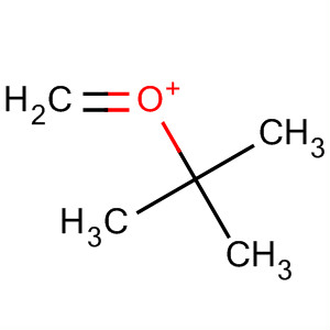 Oxonium, (1,1-dimethylethyl)methylene- molecular structure