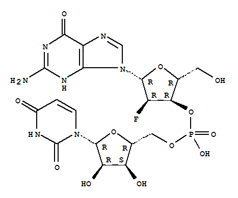 2-deoxy-2-fluoroguanylyl-(3-5)uridine