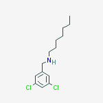 3,5-DICHLORO-N-HEPTYL-BENZENEMETHANAMINEHCL molecular structure