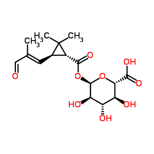 1-O-({(1R,3R)-2,2-dimethyl-3-[(1E)-2-methyl-3-oxoprop-1-en-1-yl]cyclopropyl}carbonyl)-alpha-D-glucopyranuronic acid molecular structure